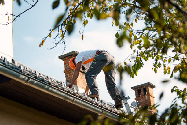 Trusted Creve Coeur, IL Roofing Contractor Experts