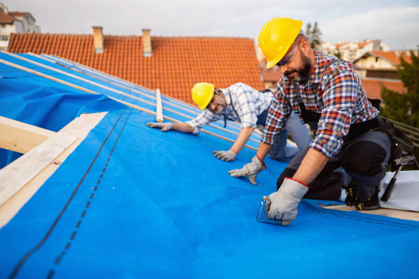 Best Storm Damage Roof Repair  in Creve Coeur, IL